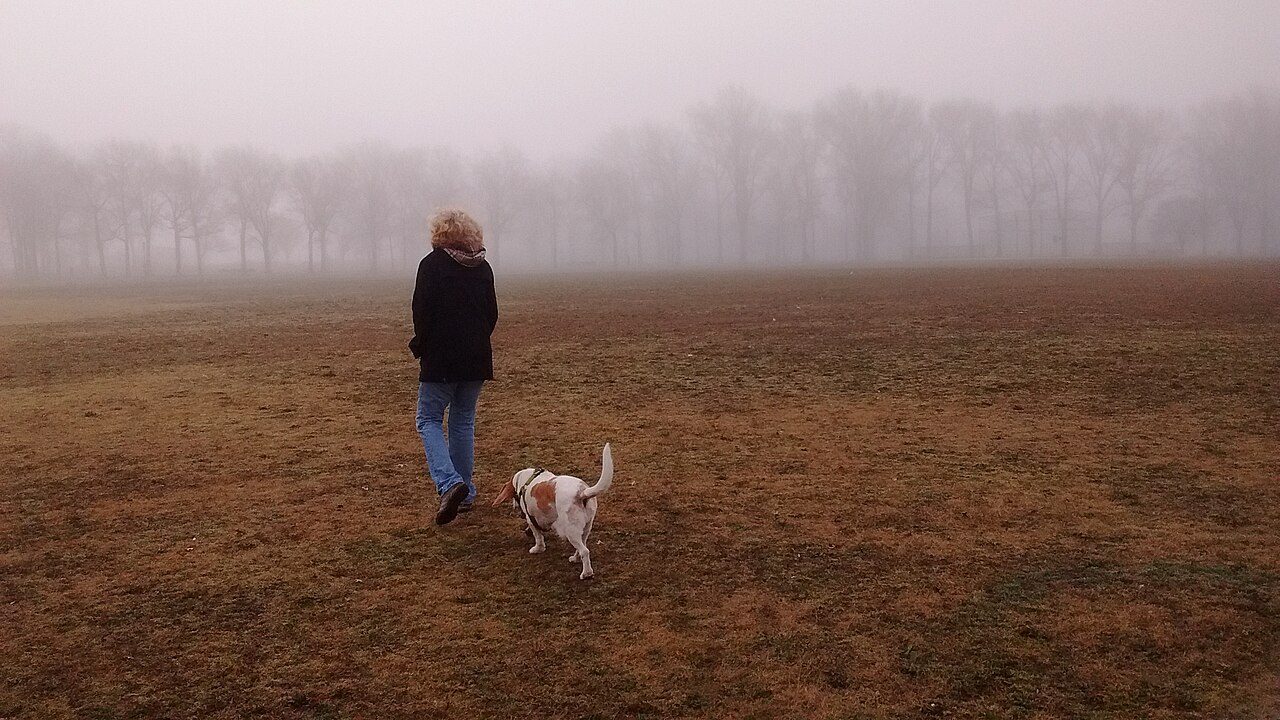A person walking a small dog in an open field